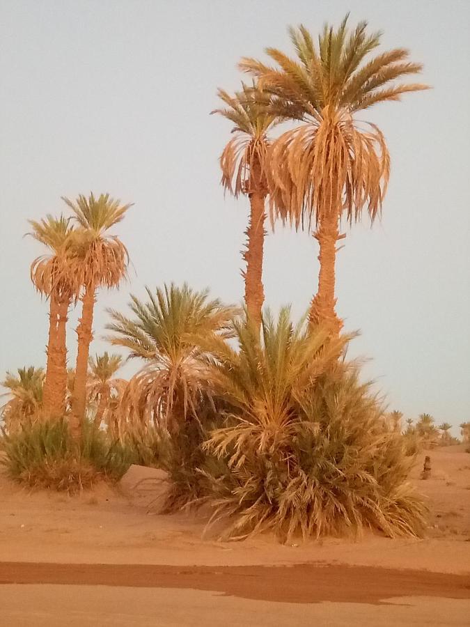 Sahara Peace Camp Hotel Zagora Buitenkant foto