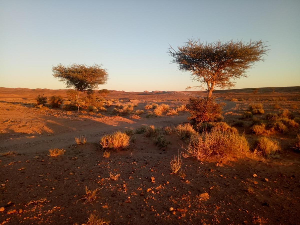 Sahara Peace Camp Hotel Zagora Buitenkant foto