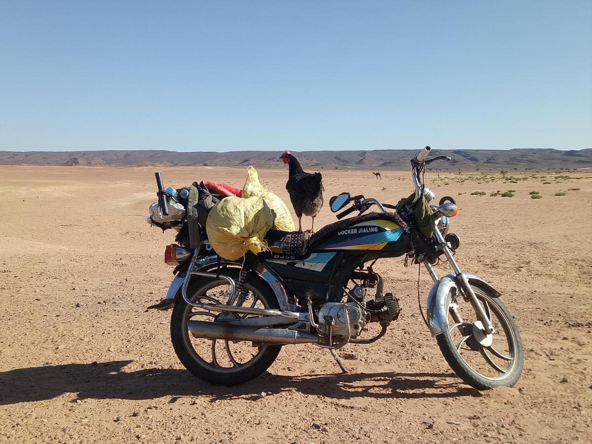 Sahara Peace Camp Hotel Zagora Buitenkant foto
