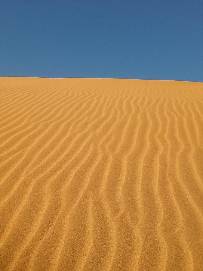 Sahara Peace Camp Hotel Zagora Buitenkant foto