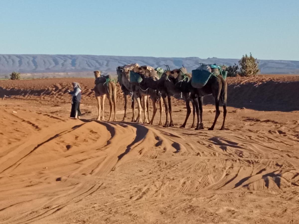 Sahara Peace Camp Hotel Zagora Buitenkant foto