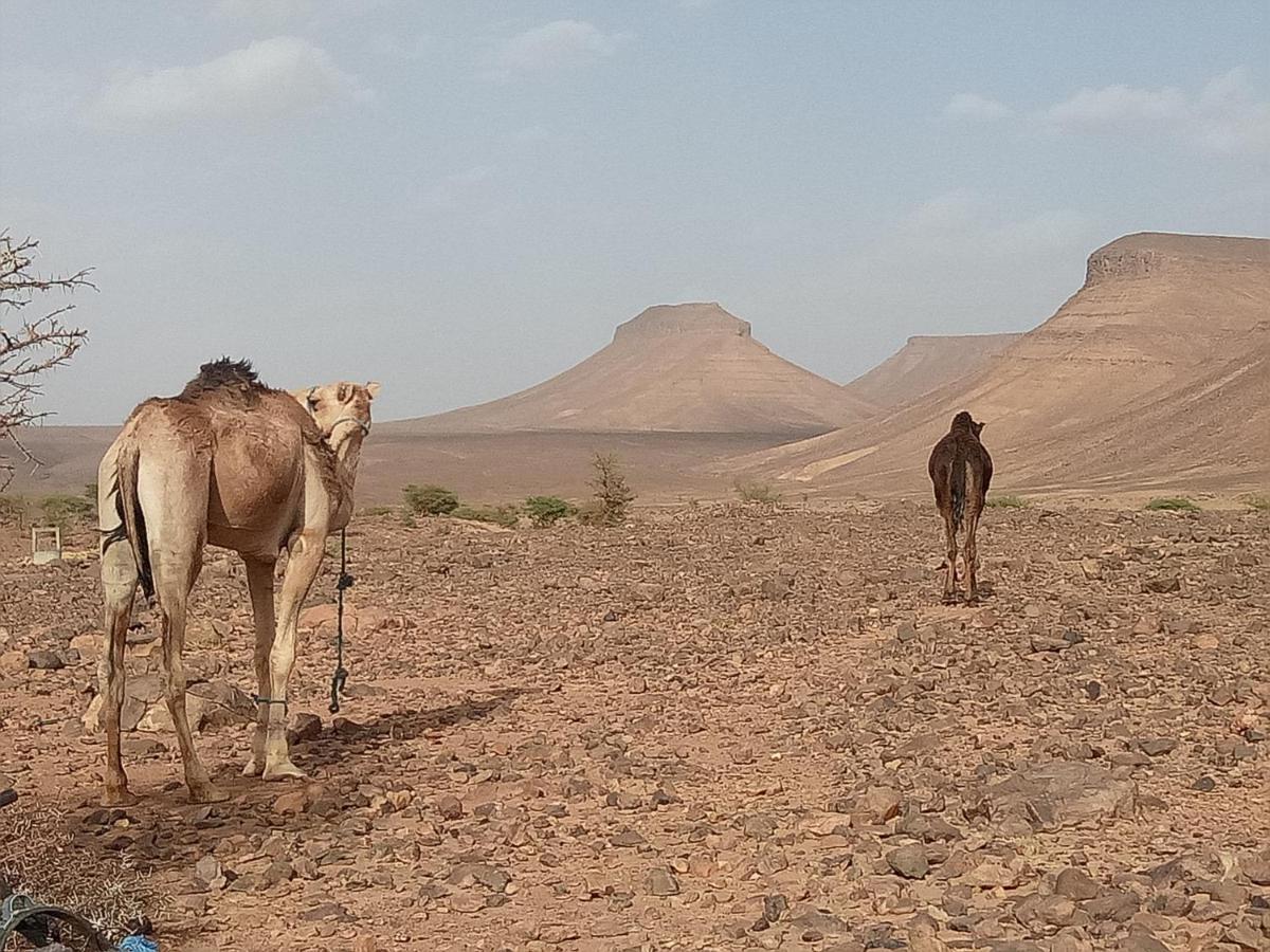 Sahara Peace Camp Hotel Zagora Buitenkant foto