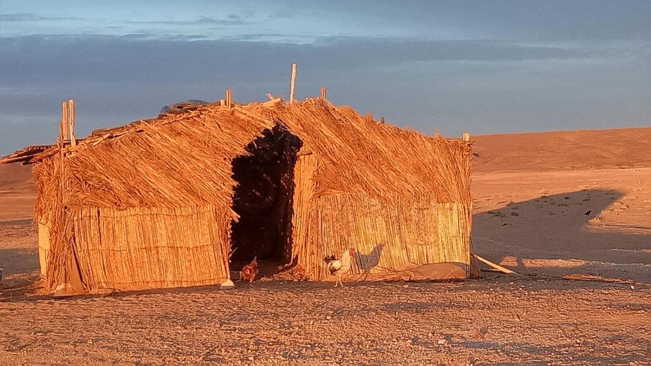 Sahara Peace Camp Hotel Zagora Buitenkant foto