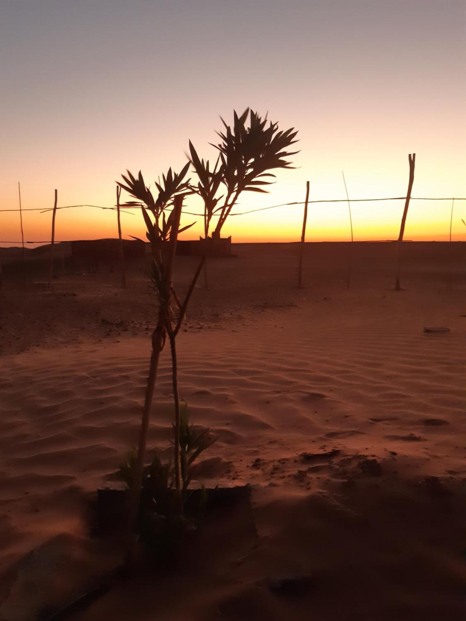 Sahara Peace Camp Hotel Zagora Buitenkant foto